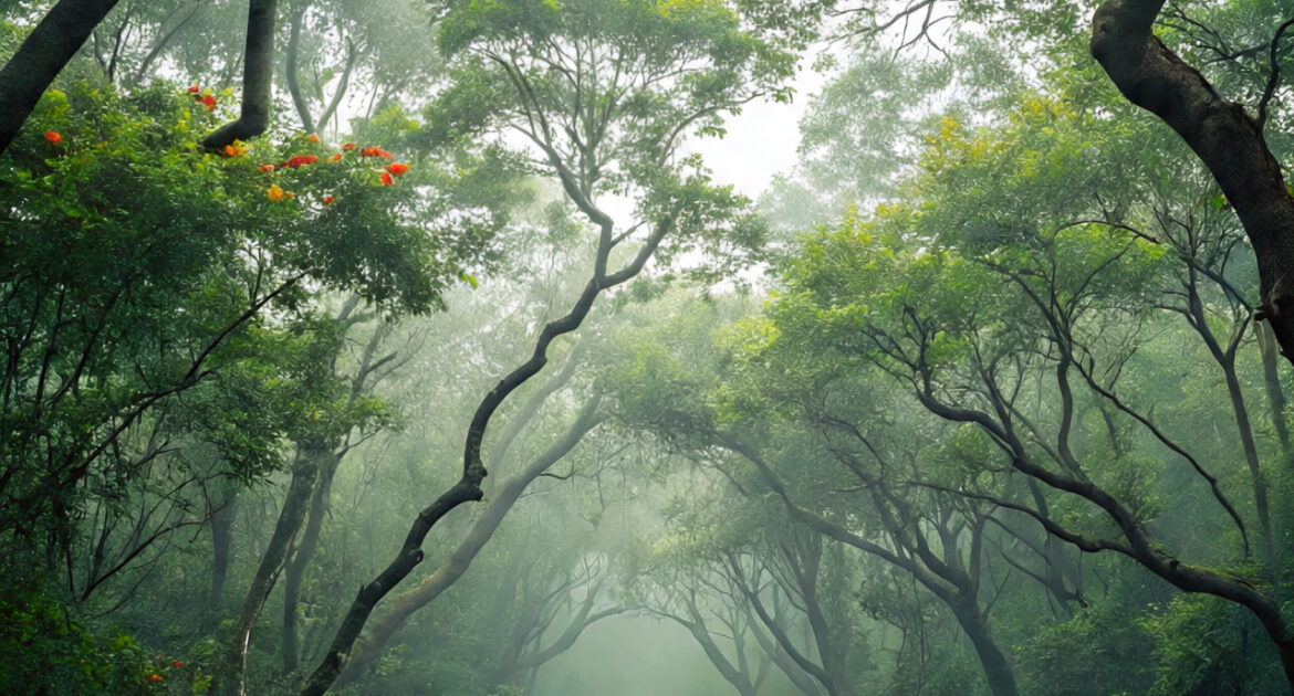 پھل دار درخت